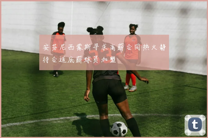 安芬尼西蒙斯寻求高薪合同热火静待合适底薪球员加盟